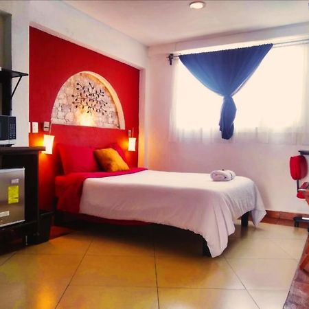 Suites Aldama Τολούκα Εξωτερικό φωτογραφία